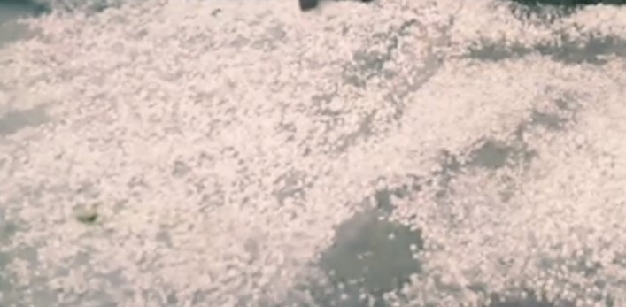 डोटीमा असिना पानीले धान खेतीमा क्षति